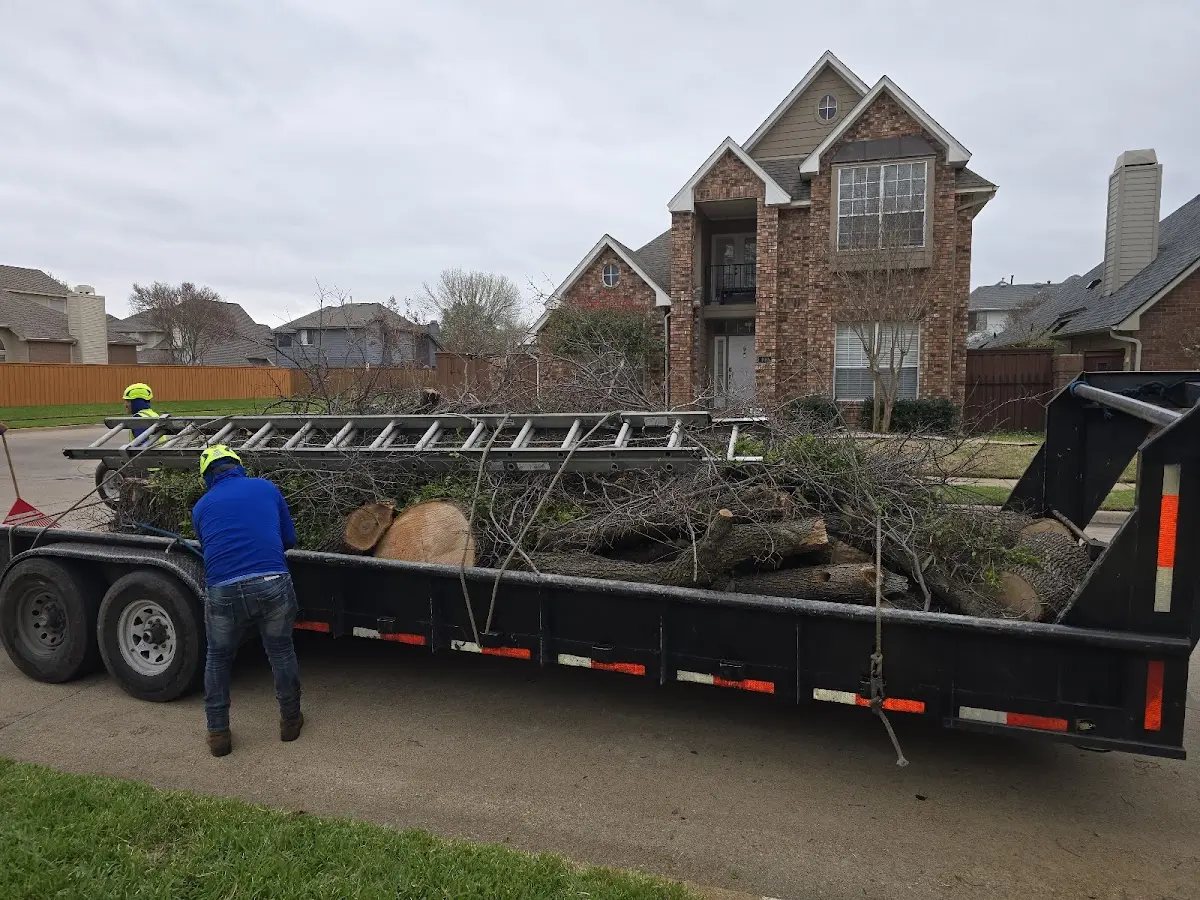 Expert Deadwooding with proper safety equipment in Crawfordsville